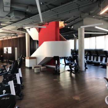 Streichen der Wände